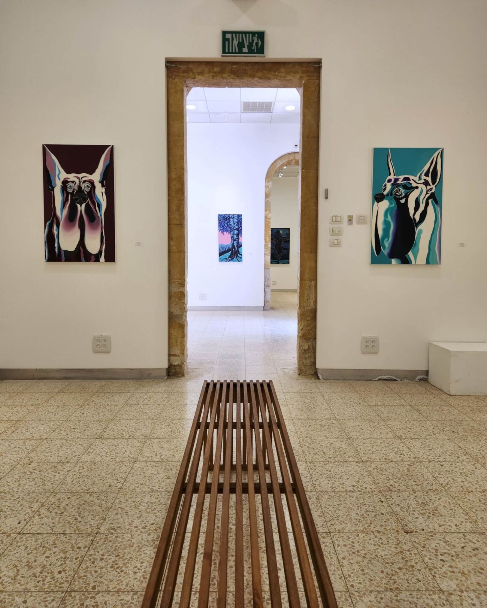 Gali-Lutski-Under-the-Bridge-Installation-012-1